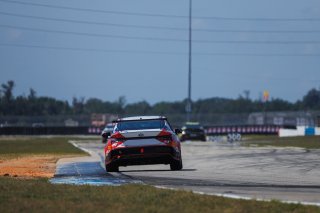 #8 Hyundai Elantra N1 TC EVO of Justin Gravett, Ricca Autosport, TC America, TC, SRO America, Sebring International Raceway, Sebring, FL, May 7 - 10, 2026
 | Andrew Miterko Photography LLC &copy;2026