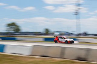 #3 Toyota GR Corolla TC of Jesse Dorkin, JMF Motorsport, TC America, TC, SRO America, Sebring International Raceway, Sebring, FL, May 7 - 10, 2026
 | Andrew Miterko Photography LLC &copy;2026