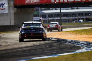 #33 Hyundai Elantra N1 TC EVO of Eric Kunz, Ricca Autosport, TC America, TC, SRO America, Sebring International Raceway, Sebring, FL, May 7 - 10, 2026
 | Andrew Miterko Photography LLC 2026