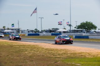 #77 Hyundai Elantra N1 TC EVO of Andre Castro, Ricca Autosport, TC America, TC, SRO America, Sebring International Raceway, Sebring, FL, May 7 - 10, 2026
 | Andrew Miterko Photography LLC &copy;2026