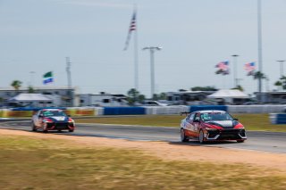 #77 Hyundai Elantra N1 TC EVO of Andre Castro, Ricca Autosport, TC America, TC, SRO America, Sebring International Raceway, Sebring, FL, May 7 - 10, 2026
 | Andrew Miterko Photography LLC &copy;2026