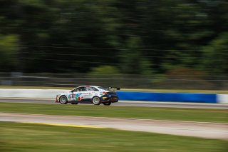 #33 Hyundai Elantra N1 TC EVO of Eric Kunz, Ricca Autosport, TC America, TC, SRO America, Road Atlanta, Braselton, GA, June 12 - 14, 2026
 | SRO Motorsports Group