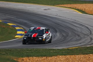 #7 Acura Integra Type-S DE5 of Dean Lambros, Skip Barber Racing, TC America, TC, SRO America, Road Atlanta, Braselton, GA, June 12 - 14, 2026
 | SRO Motorsports Group