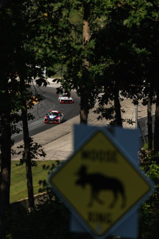 #8 Hyundai Elantra N1 TC EVO of Justin Gravett, Ricca Autosport, #33 Hyundai Elantra N1 TC EVO of Eric Kunz, TC America, TC, SRO America, Road America, Elkhart Lake, WI, Aug 27 - 30, 2026
 | Andrew Miterko Photography LLC &copy;2026
