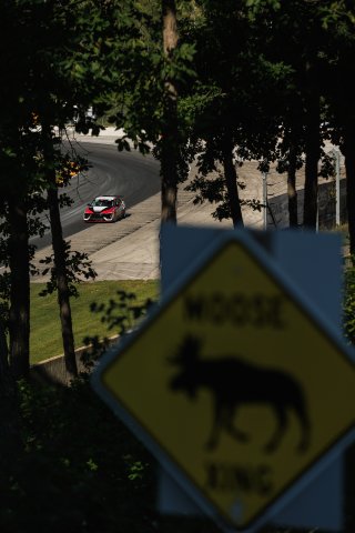 #77 Hyundai Elantra N1 TC EVO of Andre Castro, Ricca Autosport, TC America, TC, SRO America, Road America, Elkhart Lake, WI, Aug 27 - 30, 2026
 | Andrew Miterko Photography LLC &copy;2026